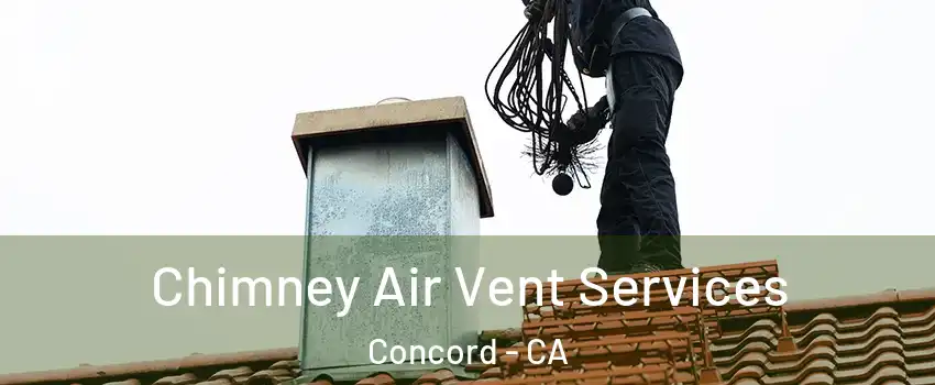  Chimney Air Vent Services Concord - CA