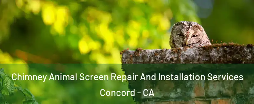  Chimney Animal Screen Repair And Installation Services Concord - CA