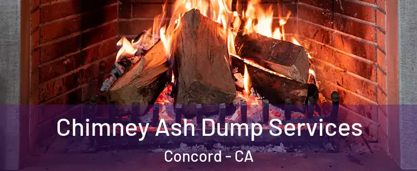  Chimney Ash Dump Services Concord - CA