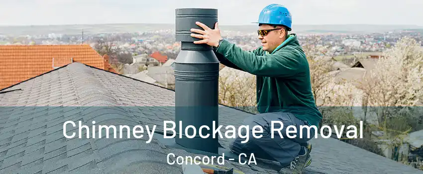  Chimney Blockage Removal Concord - CA