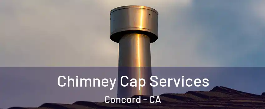  Chimney Cap Services Concord - CA
