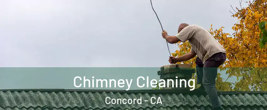  Chimney Cleaning Concord - CA