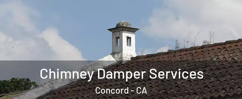  Chimney Damper Services Concord - CA