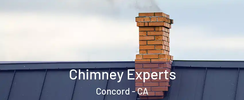  Chimney Experts Concord - CA