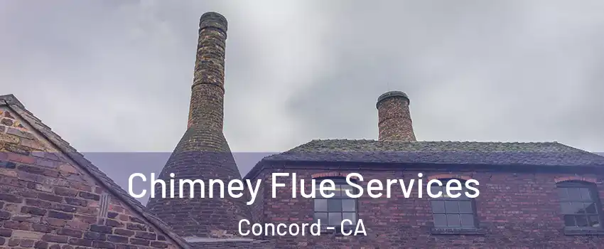  Chimney Flue Services Concord - CA