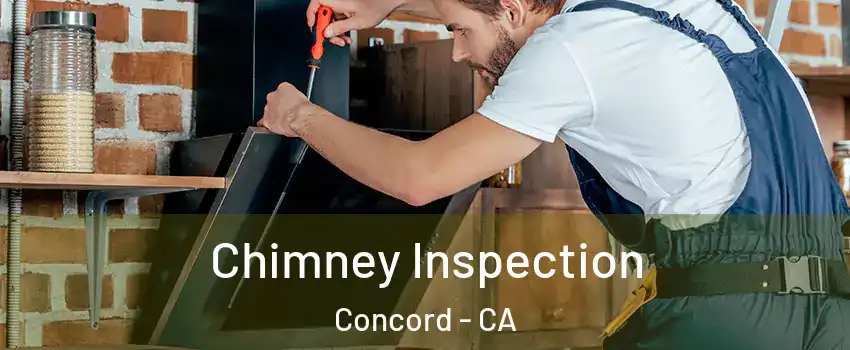  Chimney Inspection Concord - CA