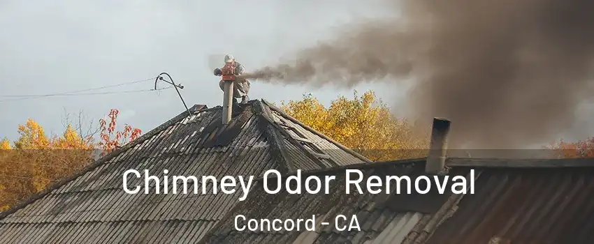  Chimney Odor Removal Concord - CA
