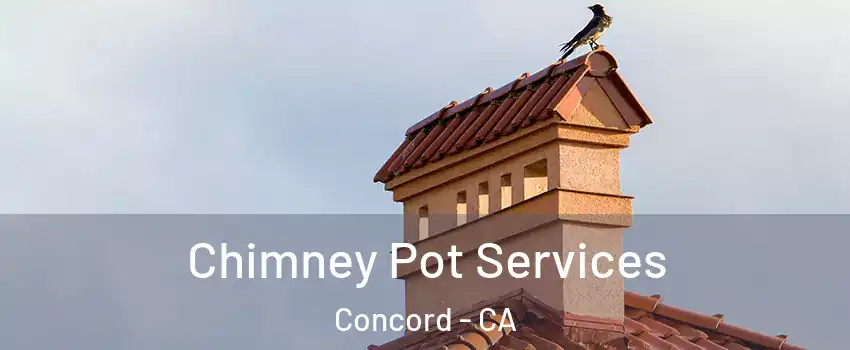  Chimney Pot Services Concord - CA
