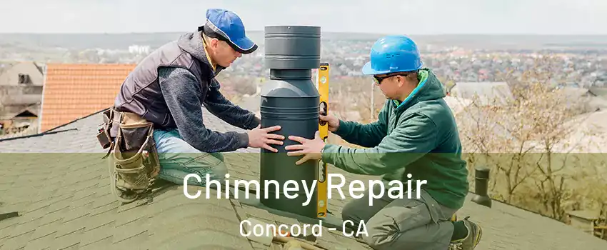  Chimney Repair Concord - CA