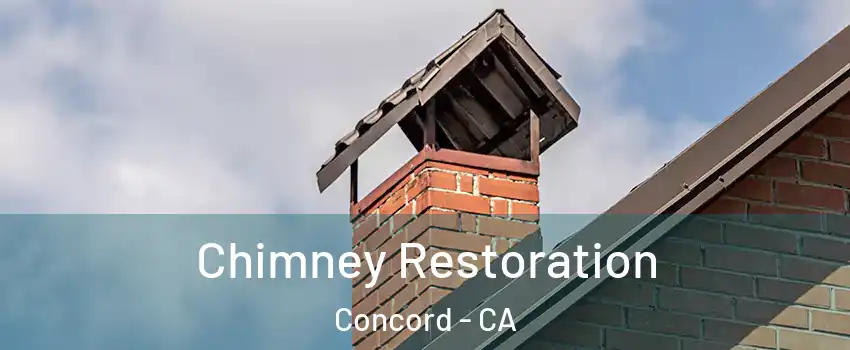  Chimney Restoration Concord - CA