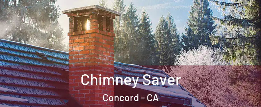  Chimney Saver Concord - CA