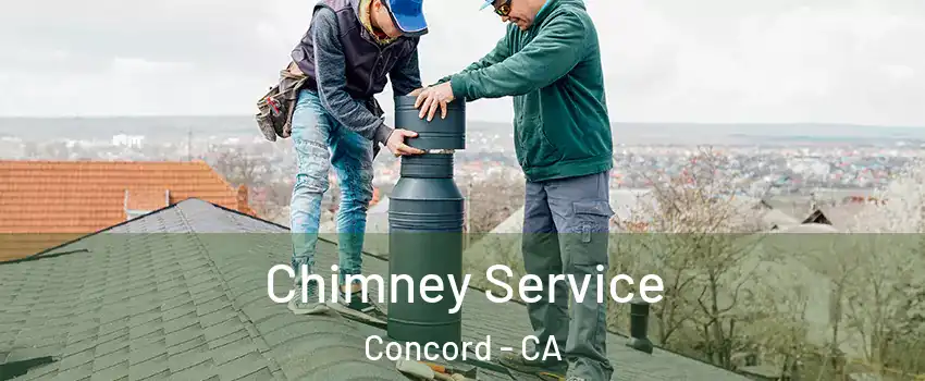  Chimney Service Concord - CA