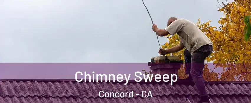  Chimney Sweep Concord - CA
