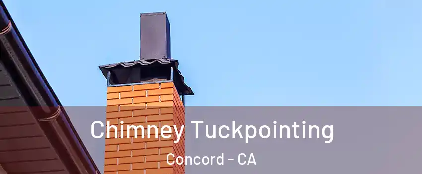 Chimney Tuckpointing Concord - CA