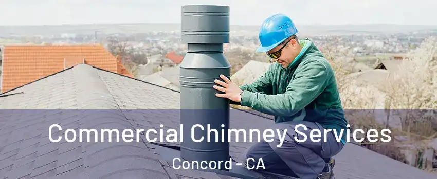 Commercial Chimney Services Concord - CA