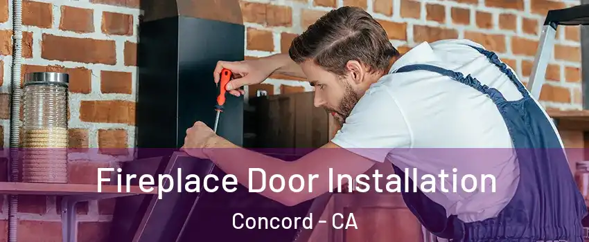  Fireplace Door Installation Concord - CA