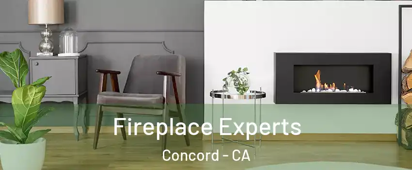  Fireplace Experts Concord - CA