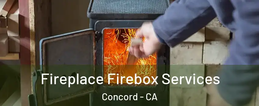  Fireplace Firebox Services Concord - CA