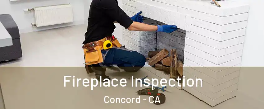  Fireplace Inspection Concord - CA