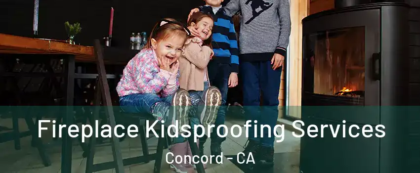  Fireplace Kidsproofing Services Concord - CA