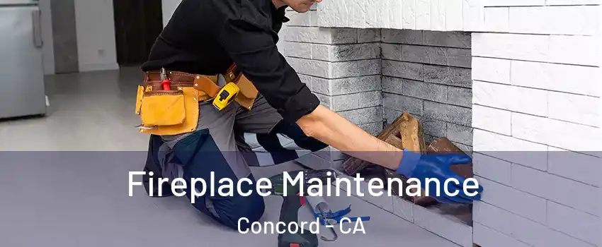  Fireplace Maintenance Concord - CA