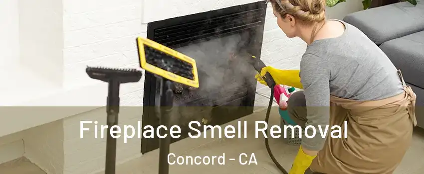  Fireplace Smell Removal Concord - CA