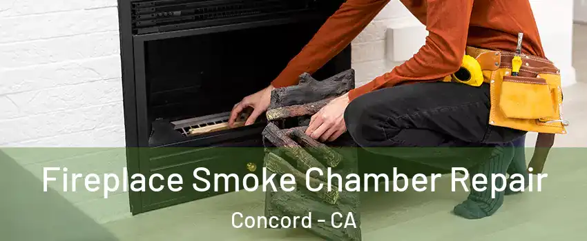  Fireplace Smoke Chamber Repair Concord - CA