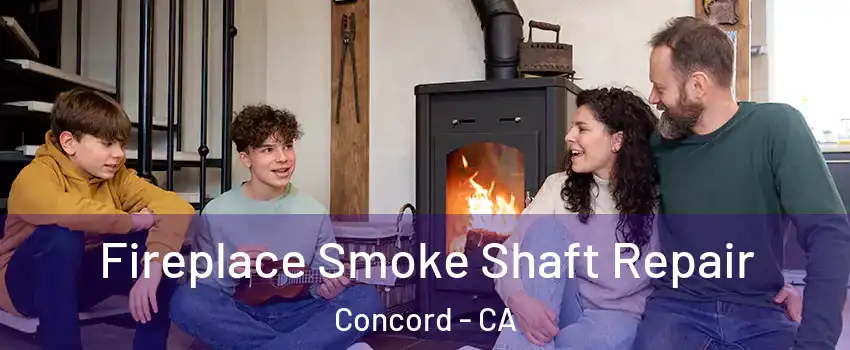  Fireplace Smoke Shaft Repair Concord - CA