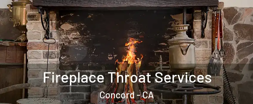  Fireplace Throat Services Concord - CA