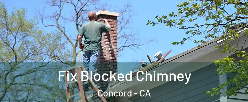  Fix Blocked Chimney Concord - CA