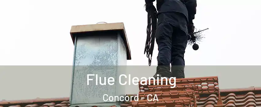  Flue Cleaning Concord - CA