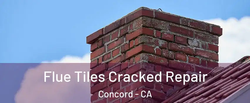  Flue Tiles Cracked Repair Concord - CA