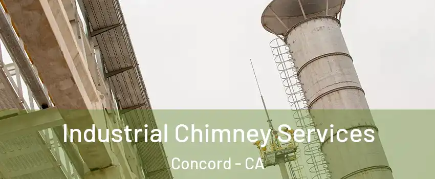  Industrial Chimney Services Concord - CA