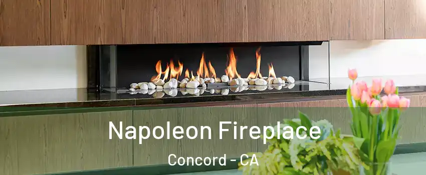  Napoleon Fireplace Concord - CA