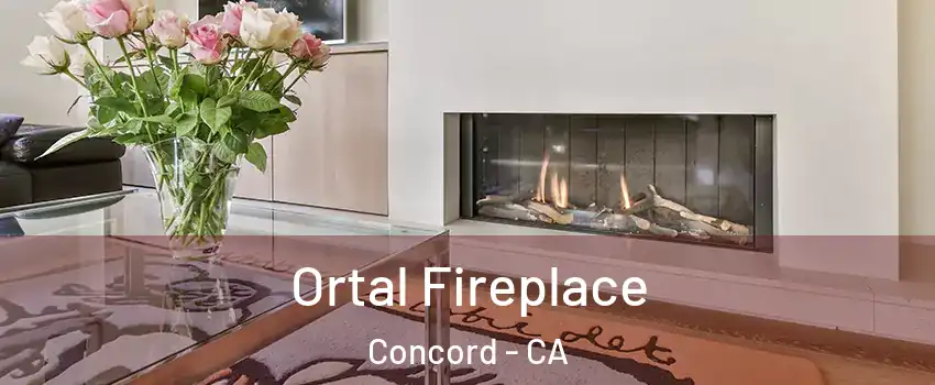  Ortal Fireplace Concord - CA