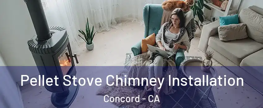  Pellet Stove Chimney Installation Concord - CA